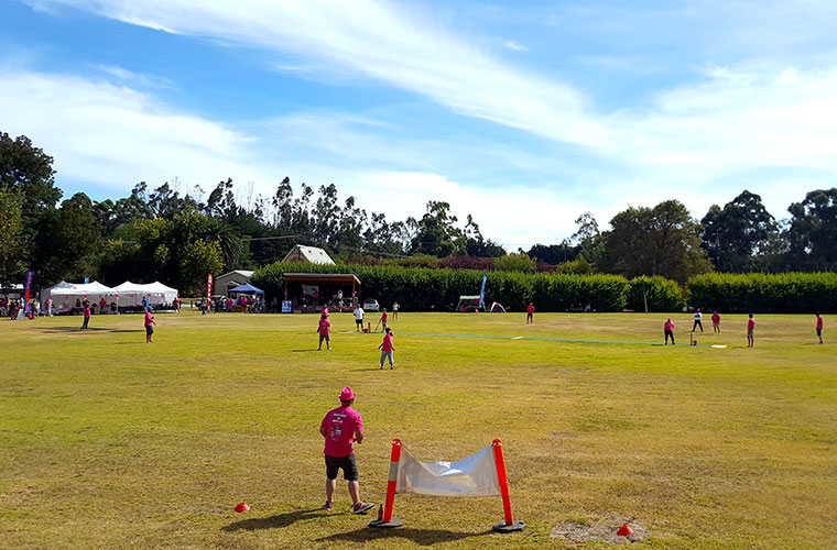 Pink Stumps Day on Davenport Square