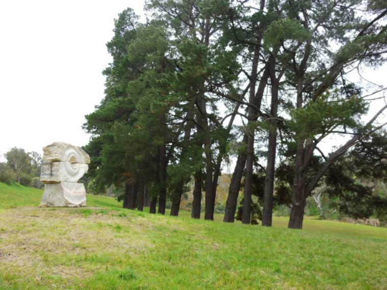 Row of pine trees near Yoshin Ogarta’s ‘Water Song’ sculpture