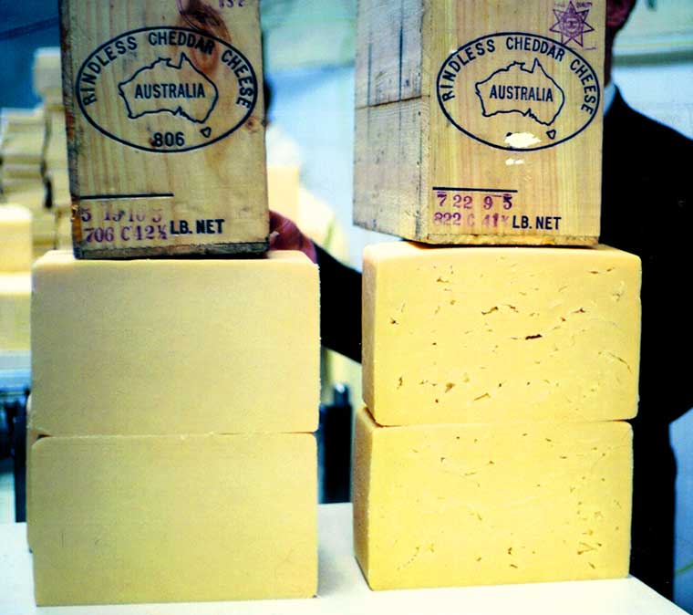 Export quality cheese from the Cheese Factory