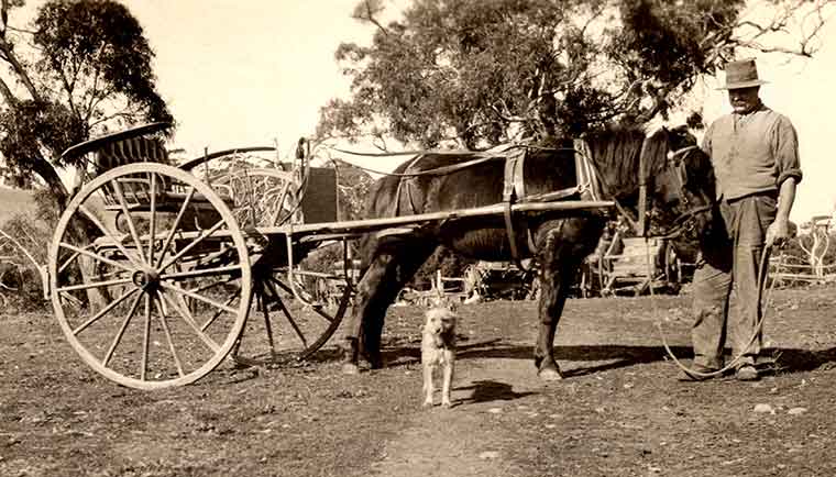 Albion Bartlett Paris Creek Mailman