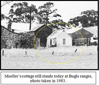 Mueller's cottage in 1983