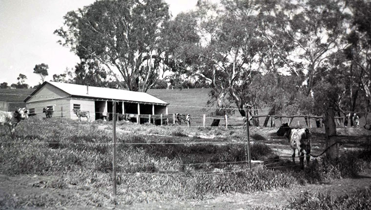 Macclesfield Farm