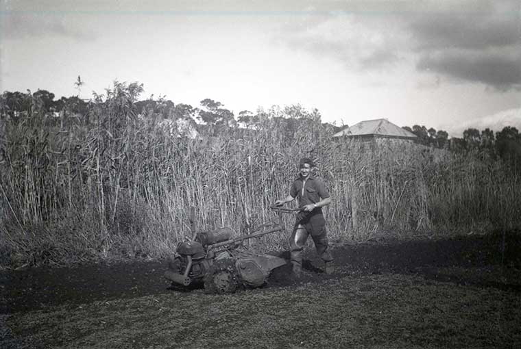 56 Unknown rotary hoeing at “Tea Tree” Shadygrove market garden