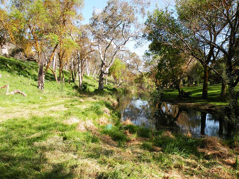 Macclesfield BushCare