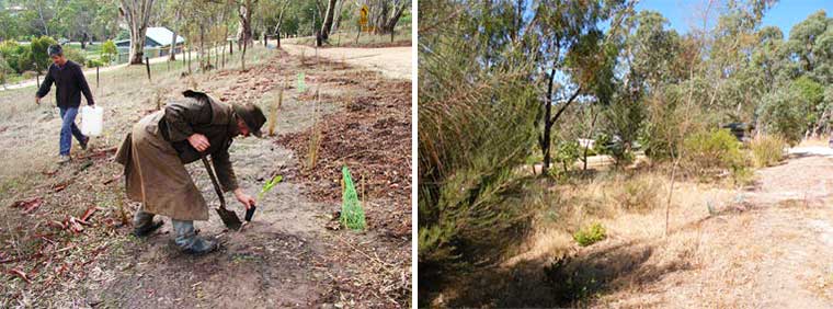 Macclesfield BushCare