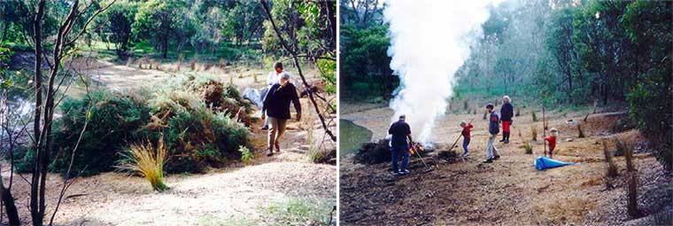 Bushcare photos