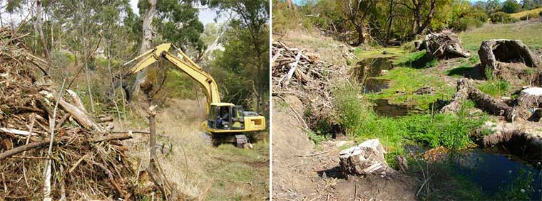 Macclesfield BushCare