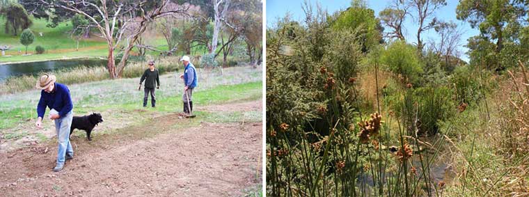 Macclesfield BushCare