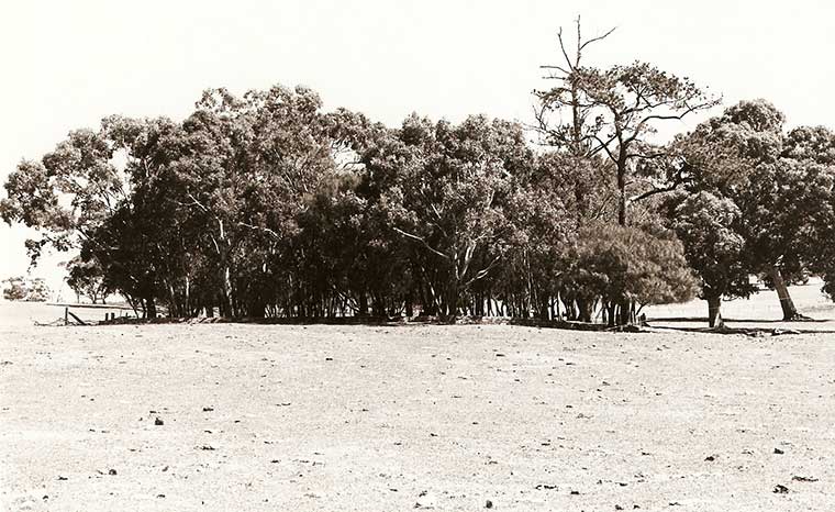 Battunga Cemetery