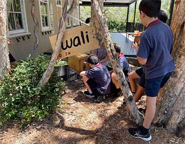 Students with bee hives