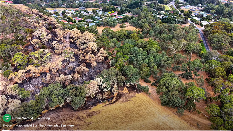 bushfire-drone-1