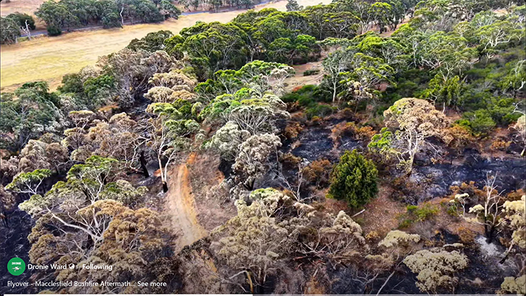 bushfire-drone-2